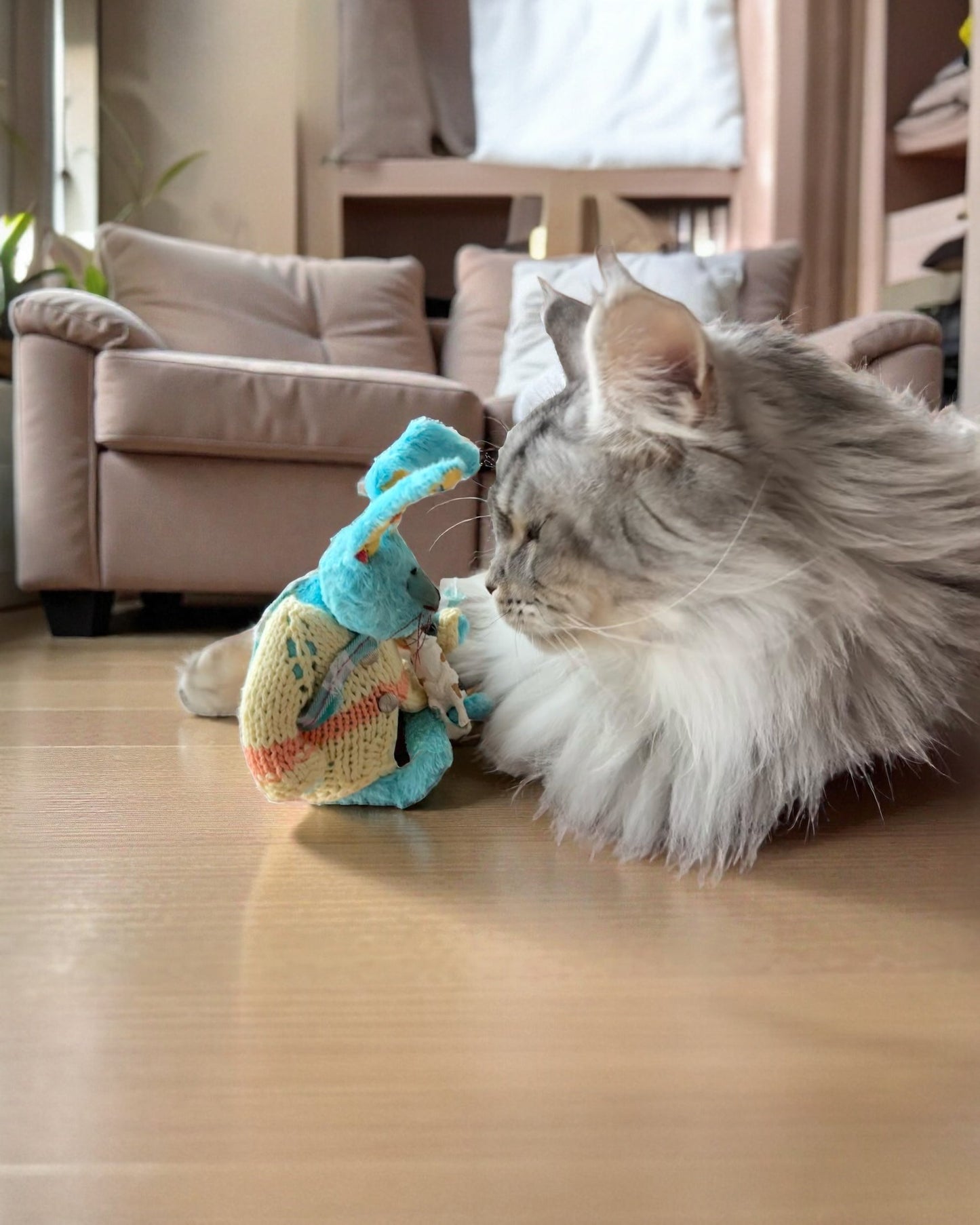 Bold Bobo and Shy Shmiley. EPISODE 2: The Cat, the Panic, and the Eleven Seconds of Greatness