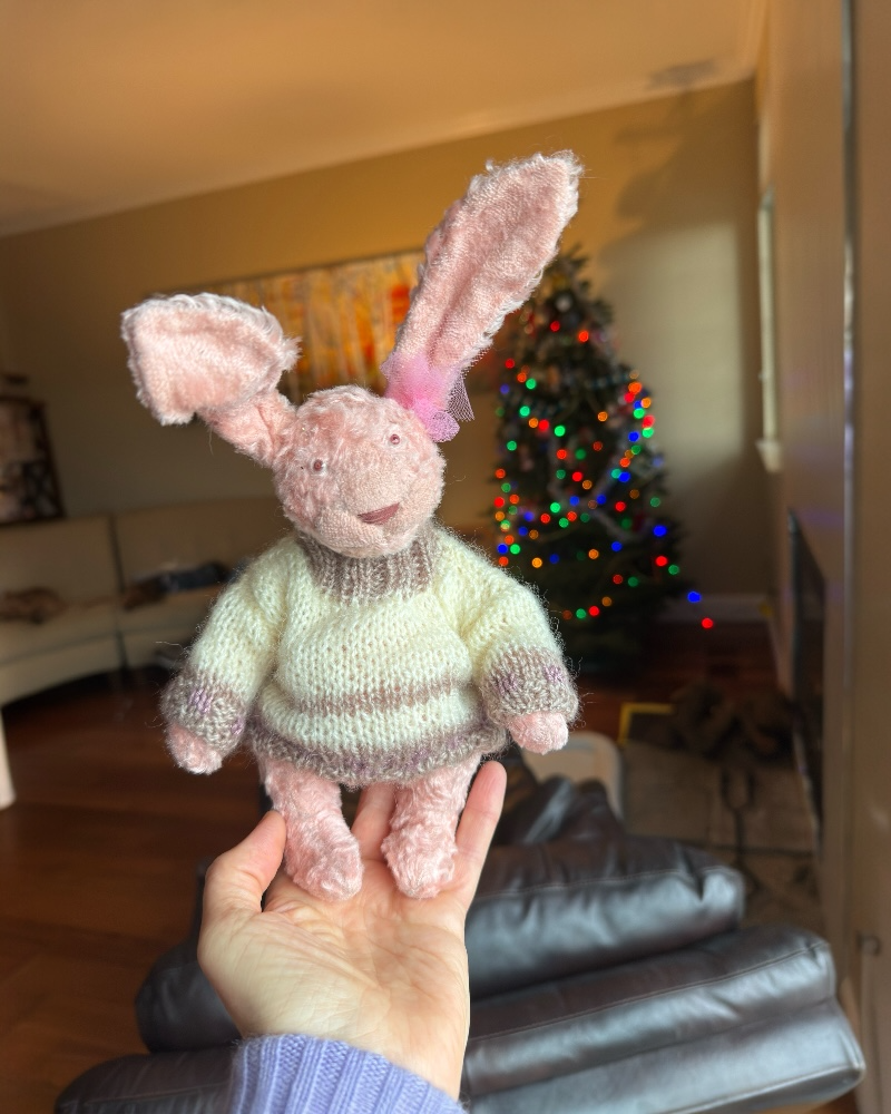 🩰 A Bunny Who Almost Became a Japanese Ballet Dancer